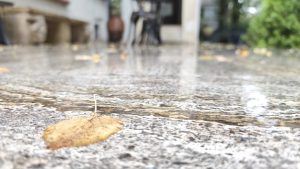 Art. History. Experience. – Descoperă expoziția de icoane vechi în Casa Tătărăscu